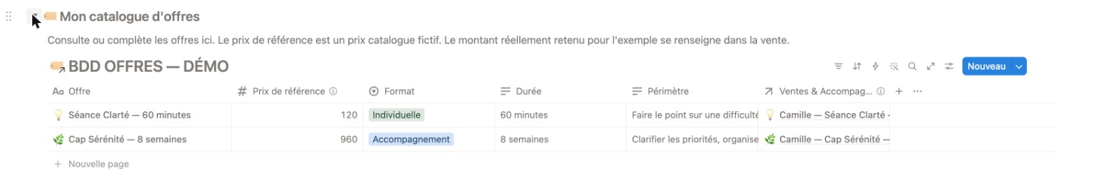 Base catalogue des offres dans Notion — tableau avec nom, prix de référence, format, durée et périmètre