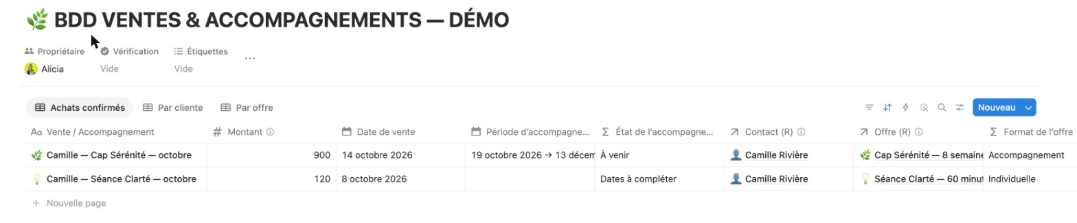 Base suivi des ventes dans Notion — tableau avec colonnes Montant, Date de vente, Période d'accompagnement, État, Contact et Offre liés